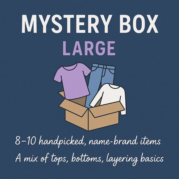 Large Mystery Box: Name Brand Women's Tops, Bottoms, Dresses, Layering Basics - Picture 1 of 1
